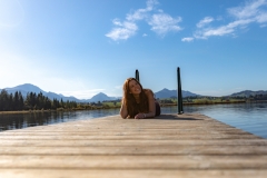 EP_EOS5D-MK4-20191013_075