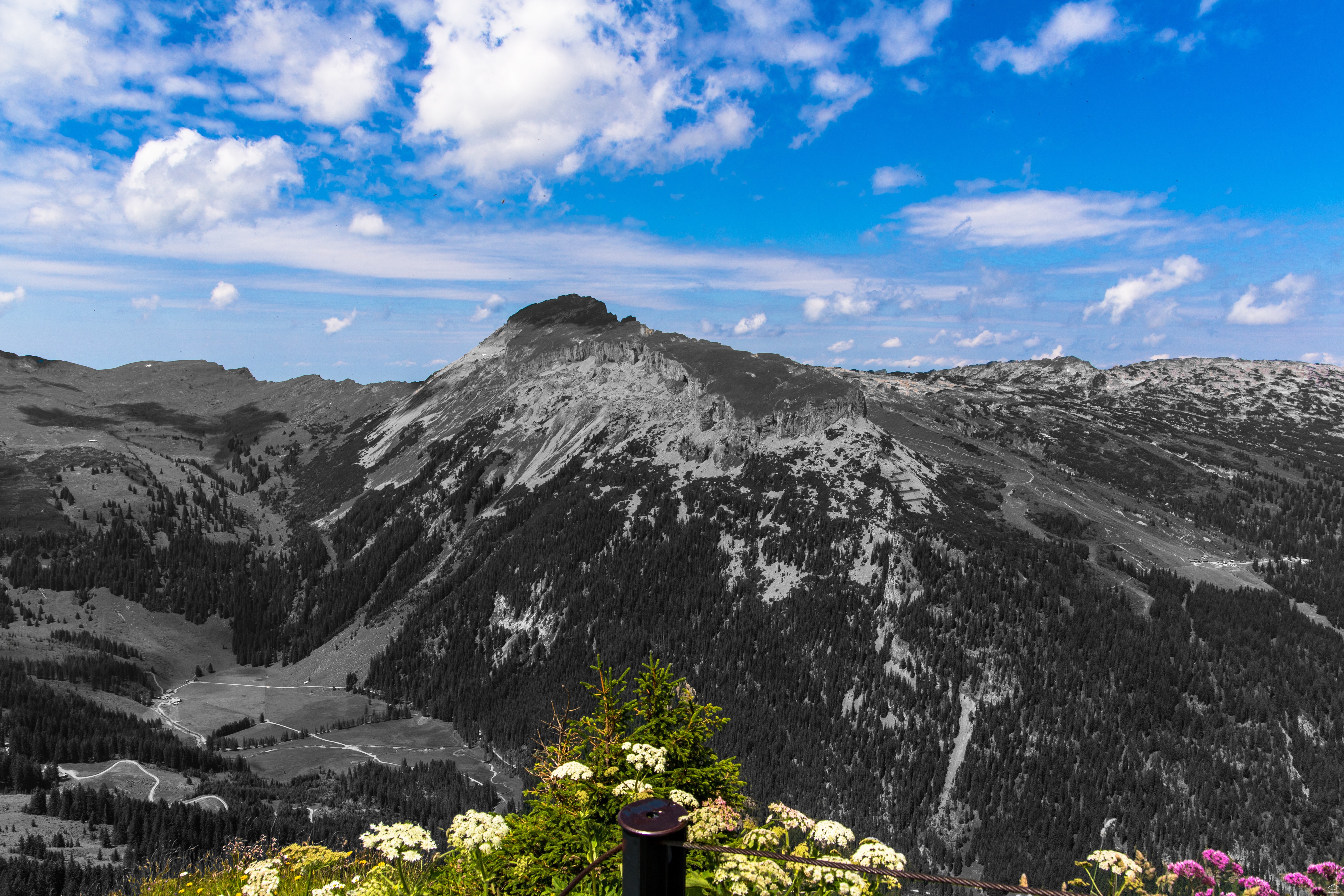 walmendinger_horn_colorkey