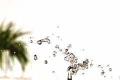 EP_EOS6D-20190423_018