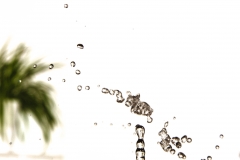 EP_EOS6D-20190423_022