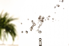 EP_EOS6D-20190423_023