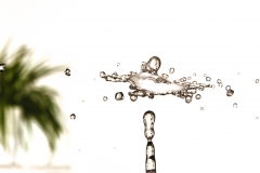 EP_EOS6D-20190423_030