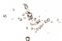 EP_EOS6D-20190423_034