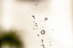 EP_EOS6D-20190423_091