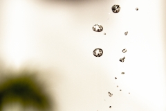EP_EOS6D-20190423_092